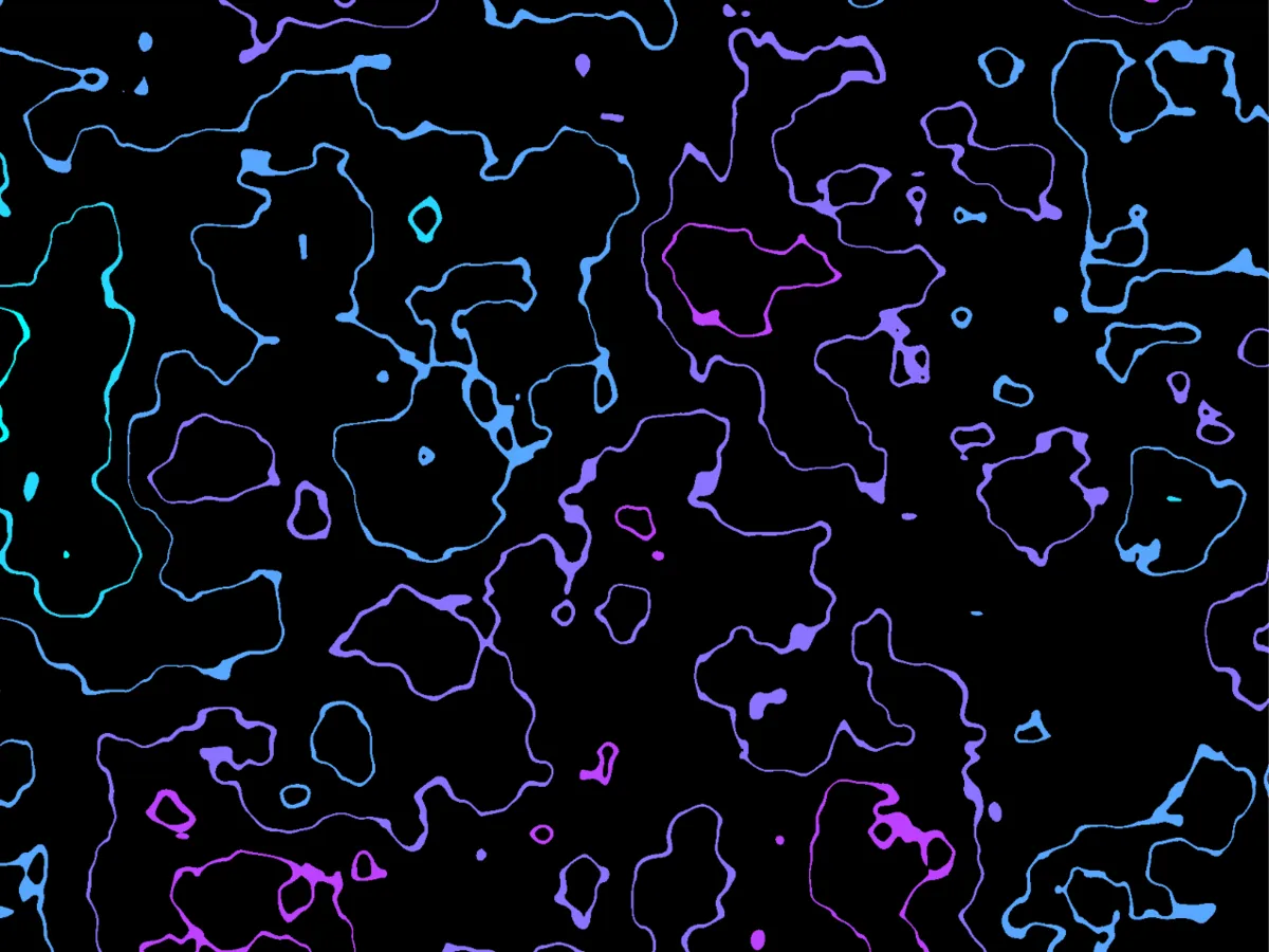 Generative contour overlay — blue/purple/pink gradient on black